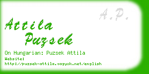 attila puzsek business card